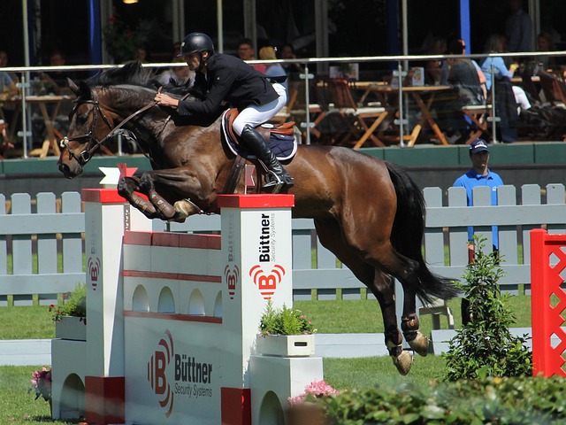 成功取決於 成功取決於