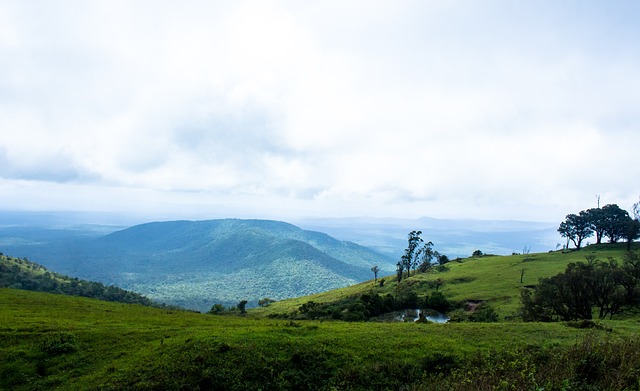 综合来看 综合来看
