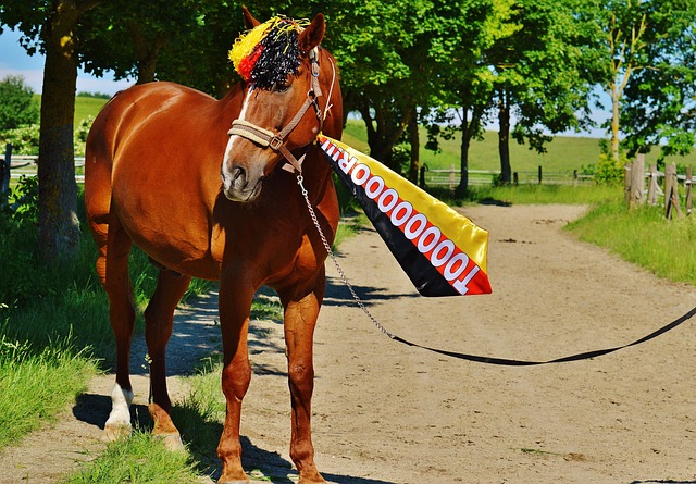 屡次成功阻 屡次成功阻