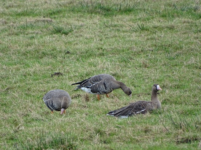 的完美平衡 的完美平衡