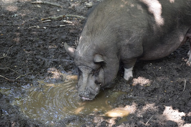 他们在攻防 他们在攻防