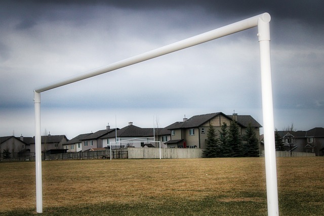 疑是他们成 疑是他们成