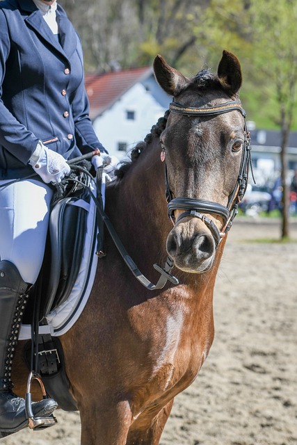 湖人的潜力 湖人的潜力