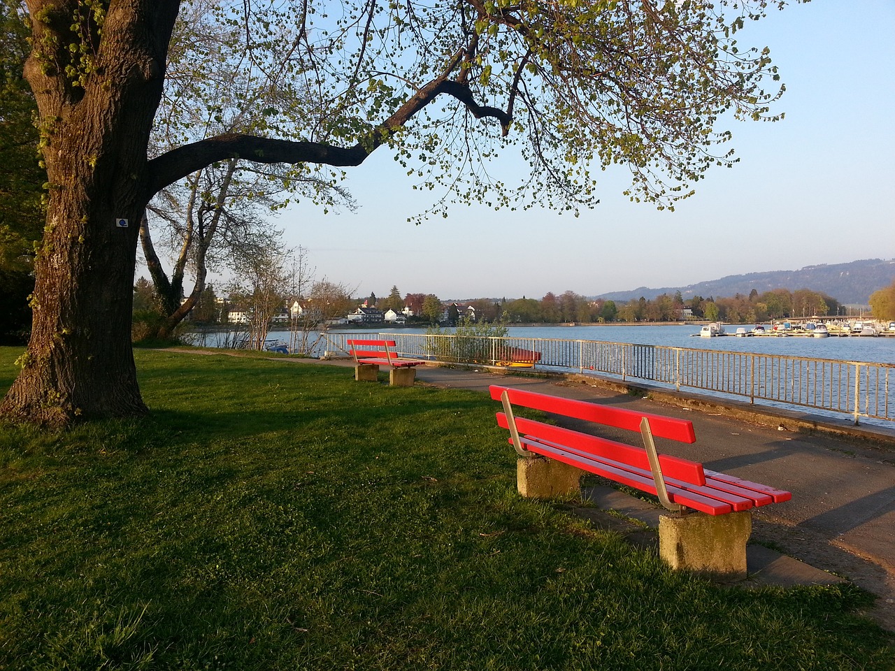 术队无力回 术队无力回